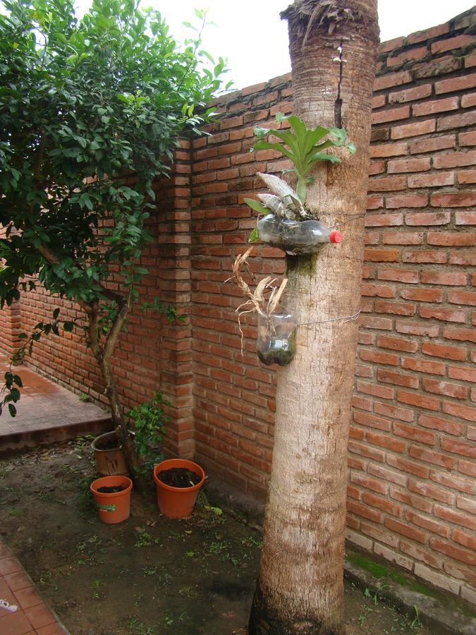 Sur Backpackers Hostel Santa Cruz de La Sierra Εξωτερικό φωτογραφία